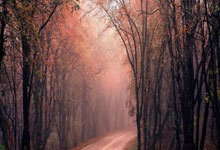 开云体育下载-FPX险胜HLE，Rekkles一己之力扛起全队：电竞豪门的逆境之战