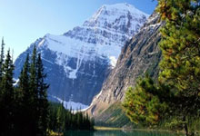 开云APP-Rogue完胜JDG，Ruler制霸全场——电竞巅峰的荣耀之战