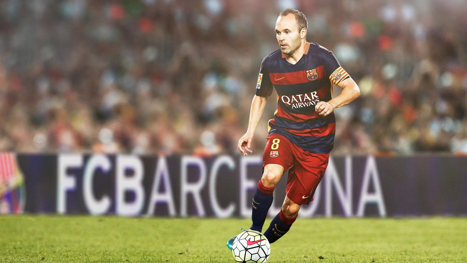 武切维奇独木擎天,广厦铁壁压制辽宁